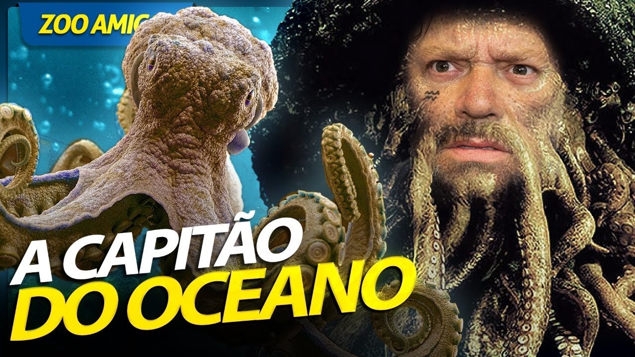 MOLUSCOS PEGAJOSOS, CRIATURAS SURPREENDENTES! | RICHARD RASMUSSEN