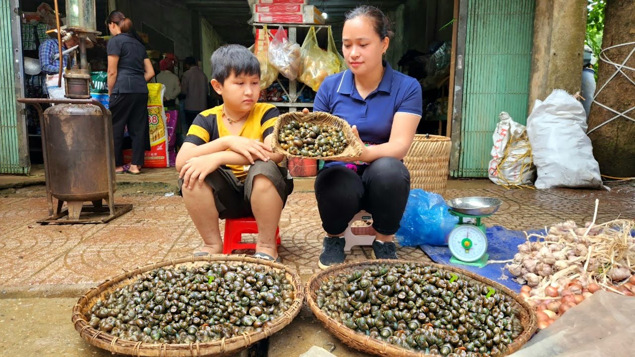 Harvesting Snail Goes to the market sell | Cooking - L&yacute; Thị Ca
