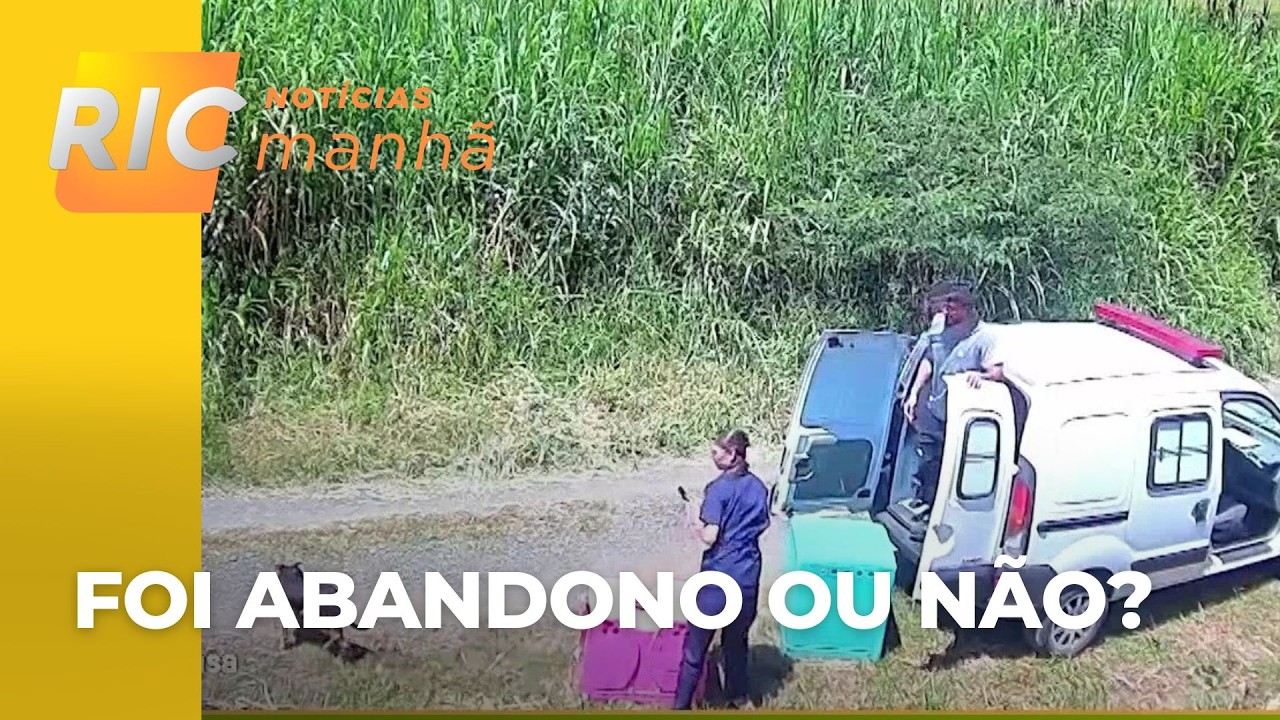 Funcionários de clínica são flagrados devolvendo cão à rua após castração