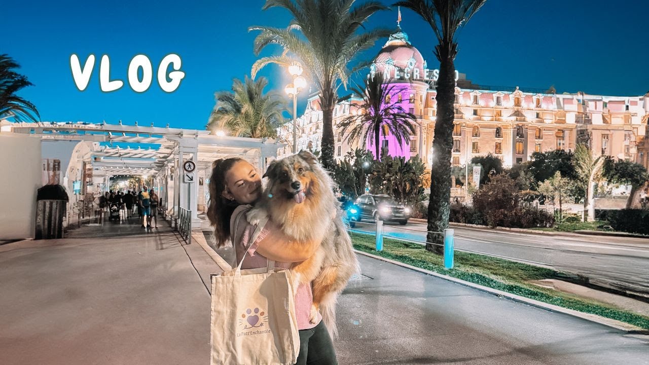 JE T'EMM&Egrave;NE &Agrave; LA F&Ecirc;TE DES ANIMAUX &Agrave; NICE !
