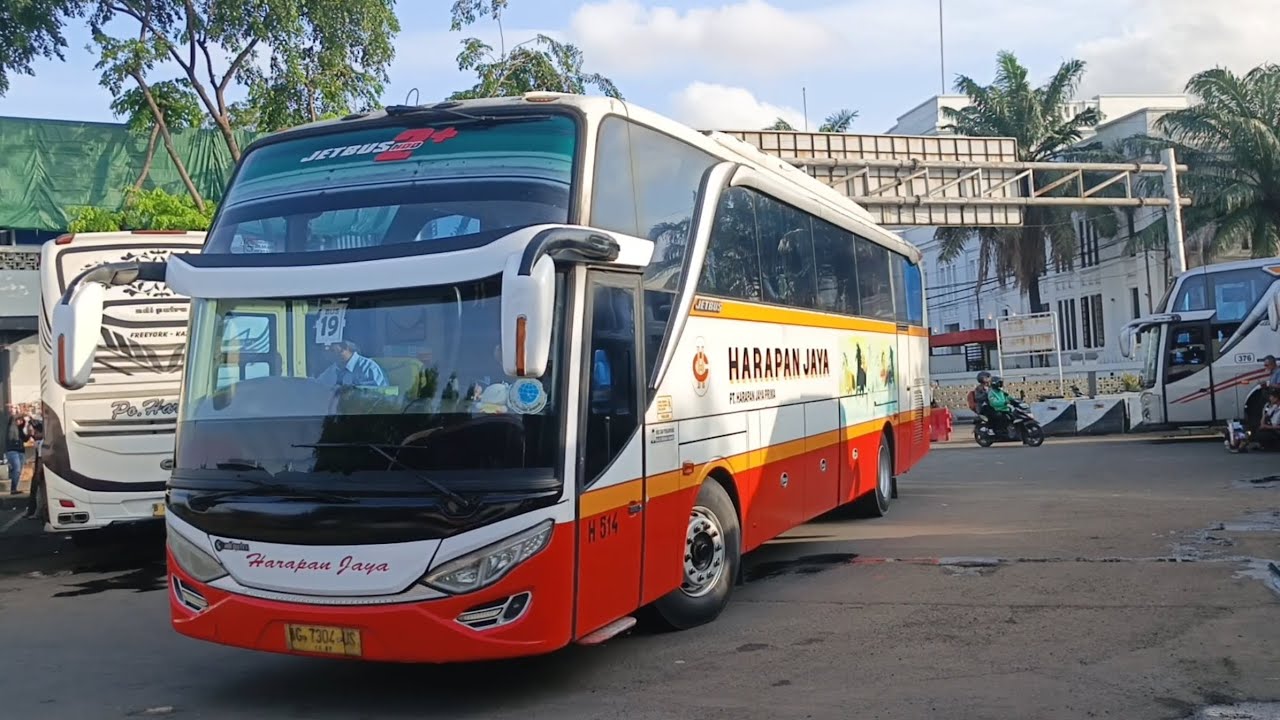 HARAPAN JAYA, KARINA, SINAR JAYA ||HUNTING BUS TERMINAL TJ PRIOK