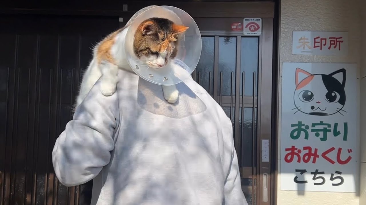 帰宅まで住職にぎゅーなミー子が可愛すぎる！