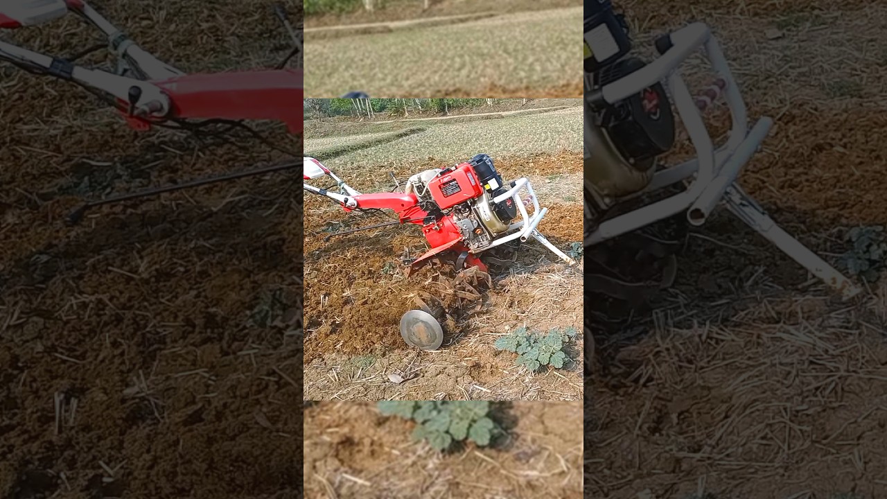 Heavy Duty Power Weeder