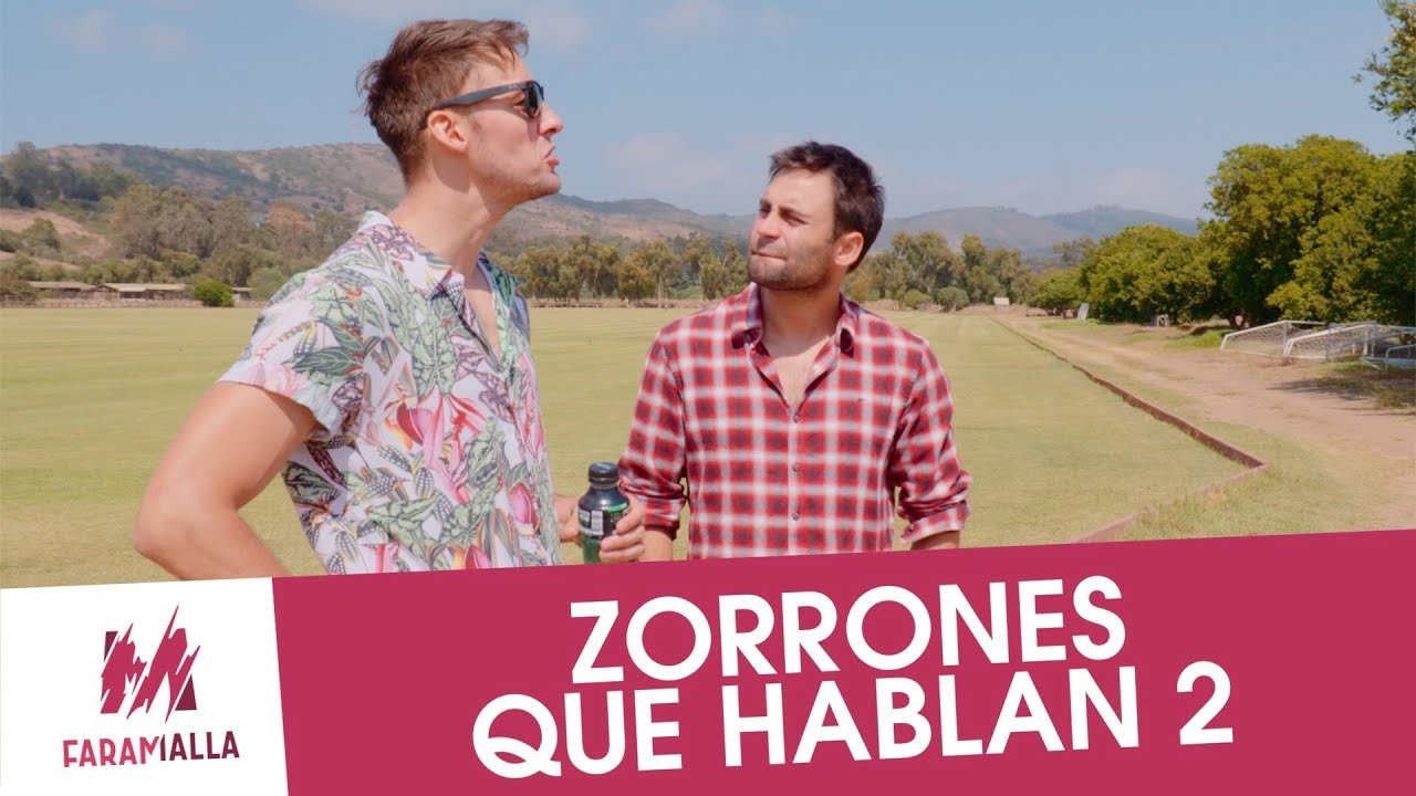 Zorrones Que Hablan 2