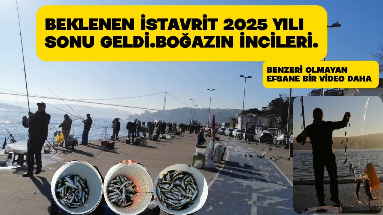 İstanbul Boğazı Beklenen İstavrit Geldi!🎣  Emirgan'da Akın Boylar Tam Yemeklik. 