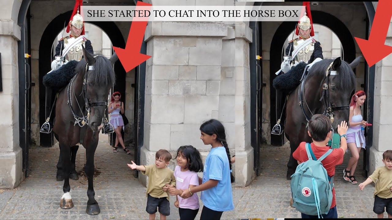 UNBELIEVABLE AND SHOCKING!!! SILLY IDIOT STARTED TO CHAT INTO THE HORSE BOX, THIS HAPPENED!!!