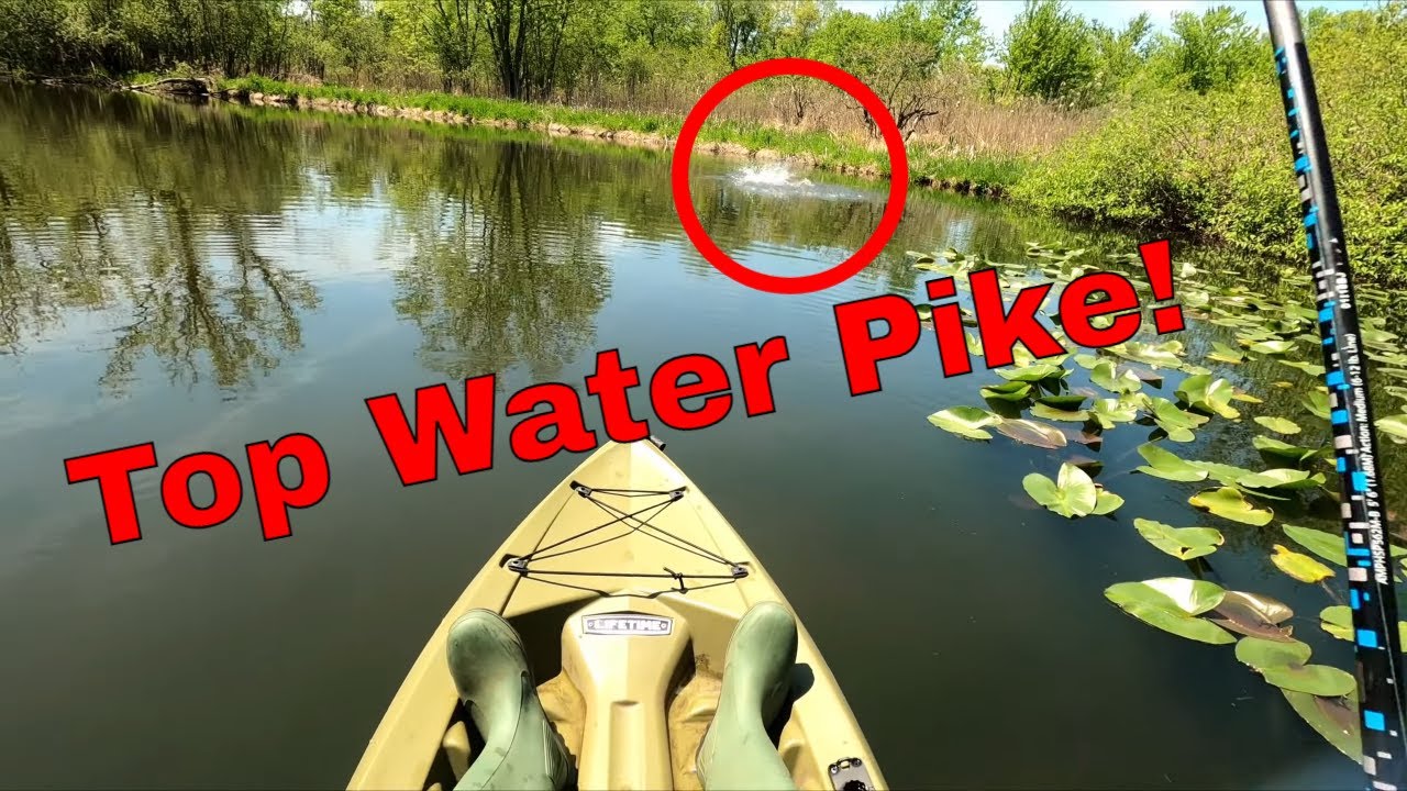 Spring Kayak Fishing Small River for Bass and Pike Michigan 2024