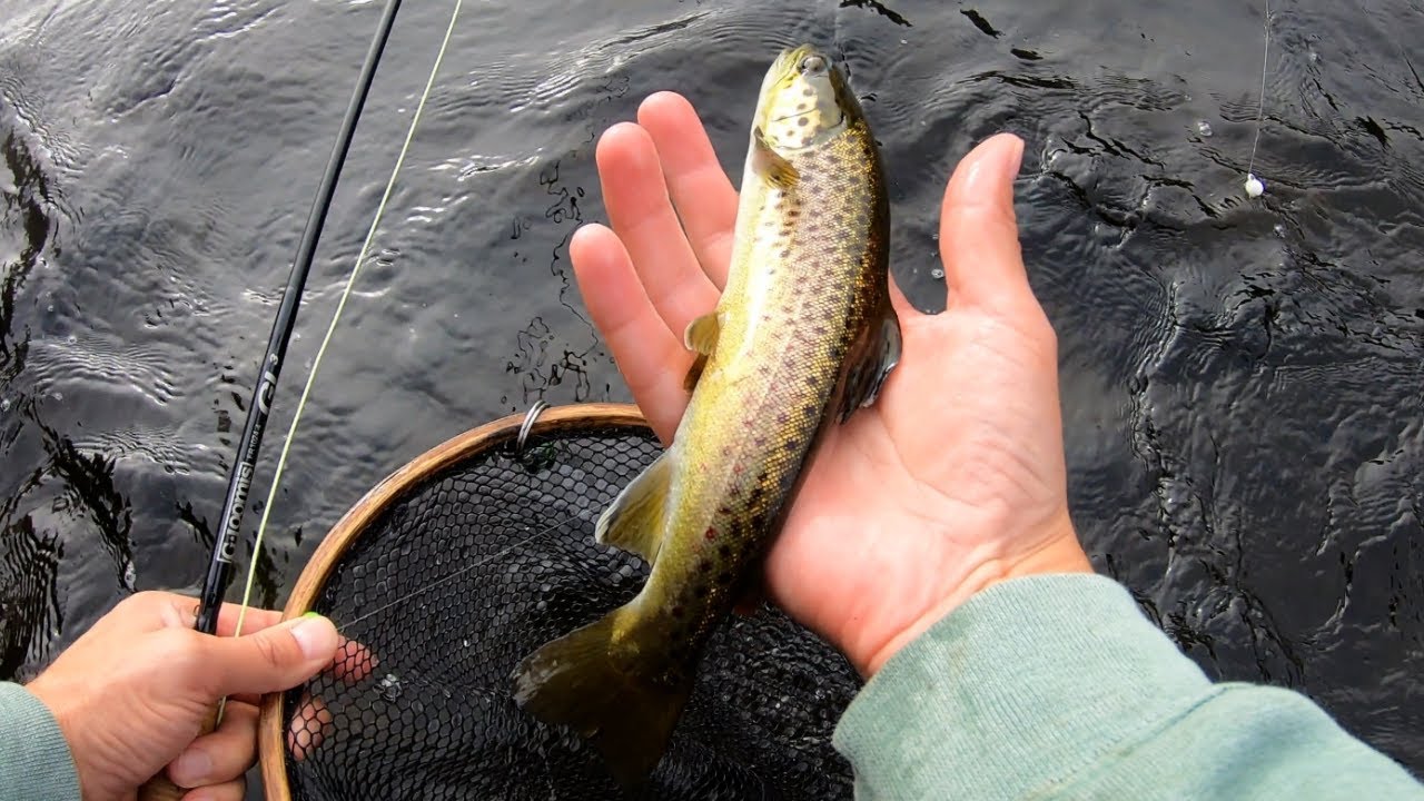 Fly Fishing Pemigewasset River