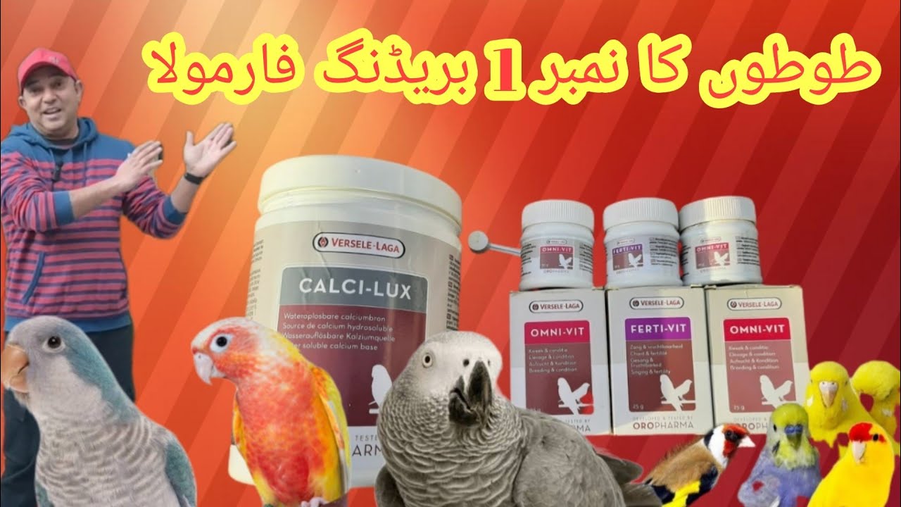 How To Use Ferti-vit | Omni-vit | Calci-lux| in Water Urdu & Hindi||Best Breeding Formula for Birds