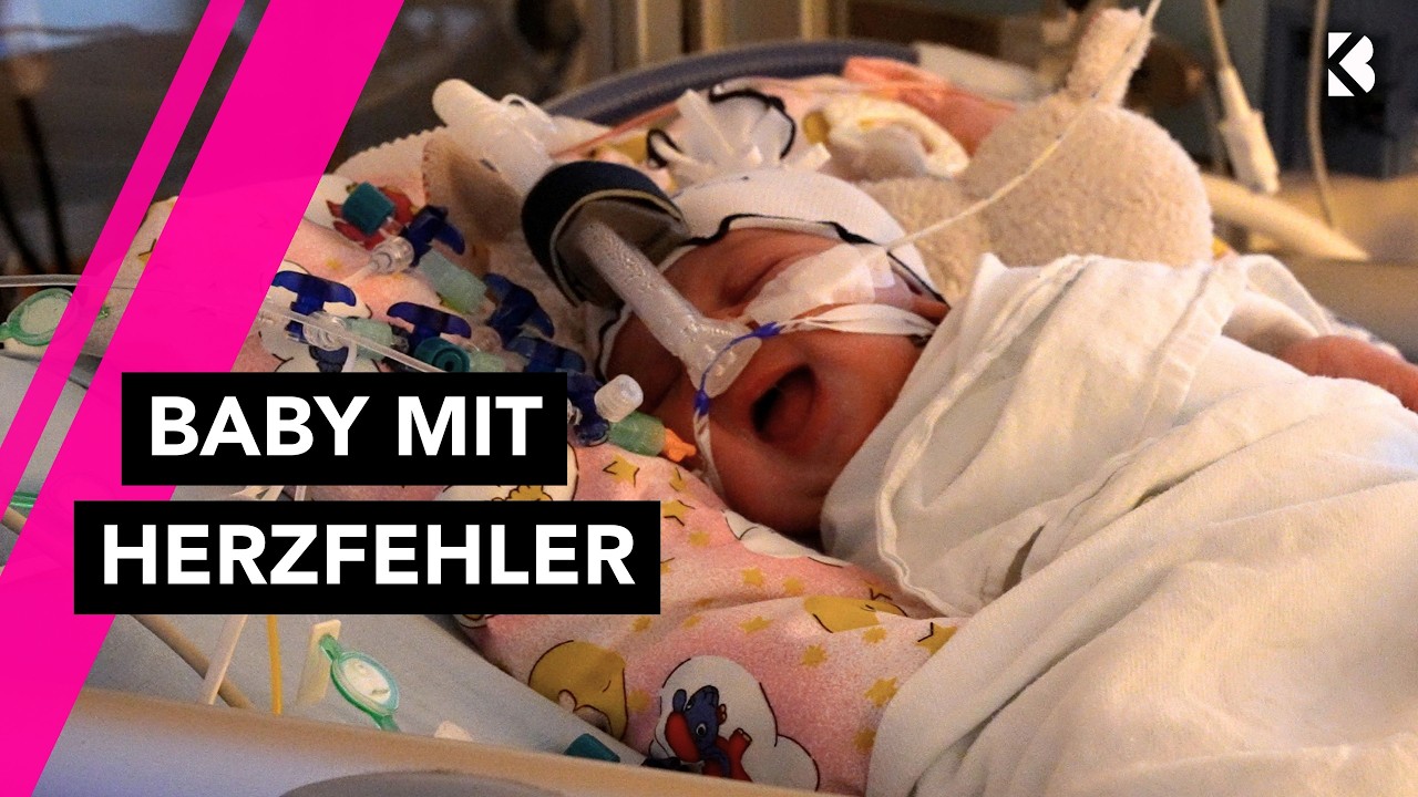 Die gr&ouml;&szlig;te Kinderintensivstation Deutschlands: Hilfe f&uuml;r Neugeborene mit Herzfehlern