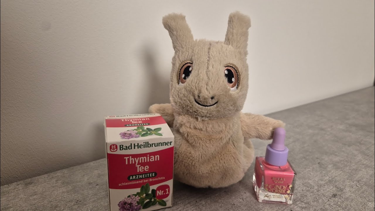 Rossmann Haul 03/Februar 2026