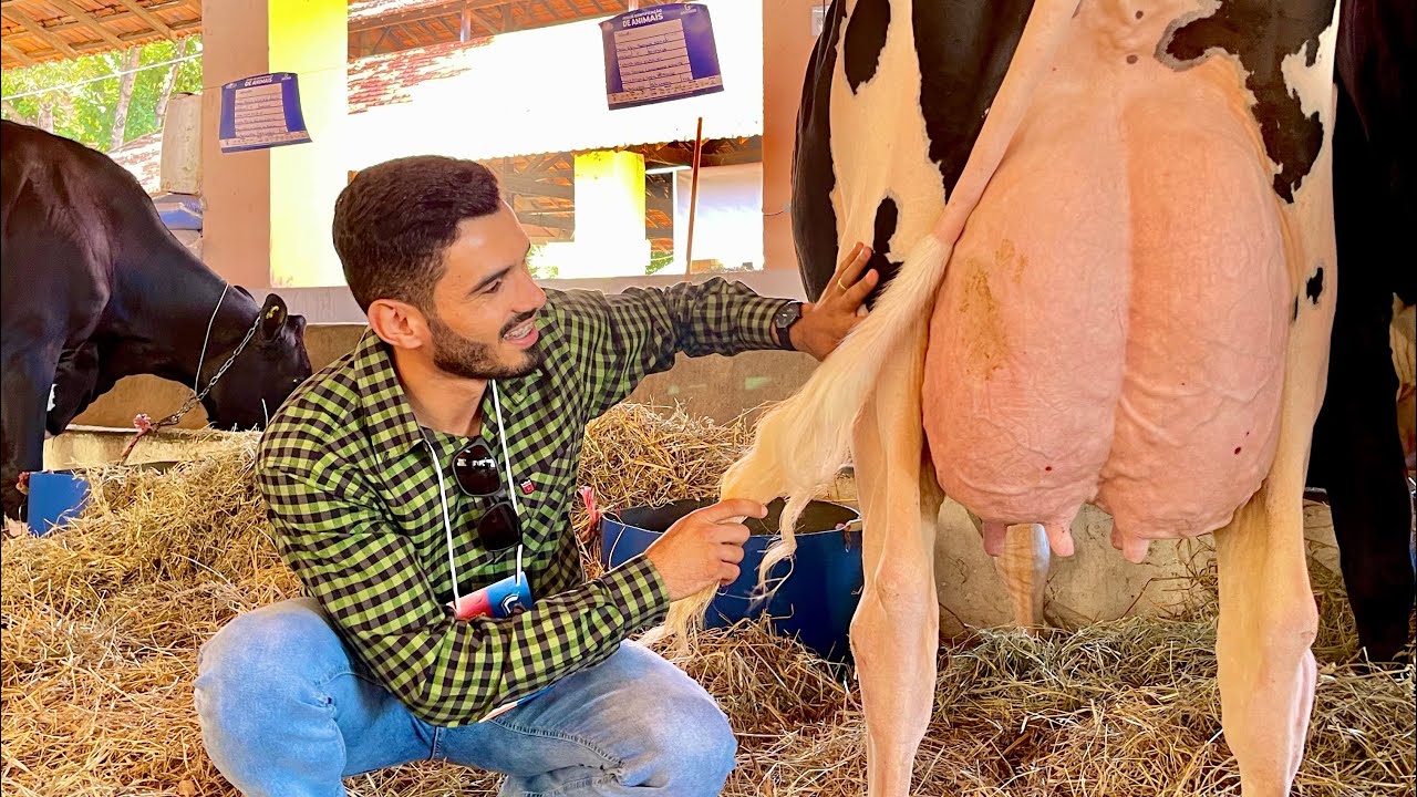 VISITANDO A MEGA LEITE, FIQUEI IMPRESSIONADO COM TANTO BICHO BOM!🐄🙌🏽🇧🇷