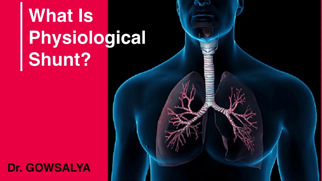 What is Physiological Shunt? Anatomy and Physiology | General Medicine