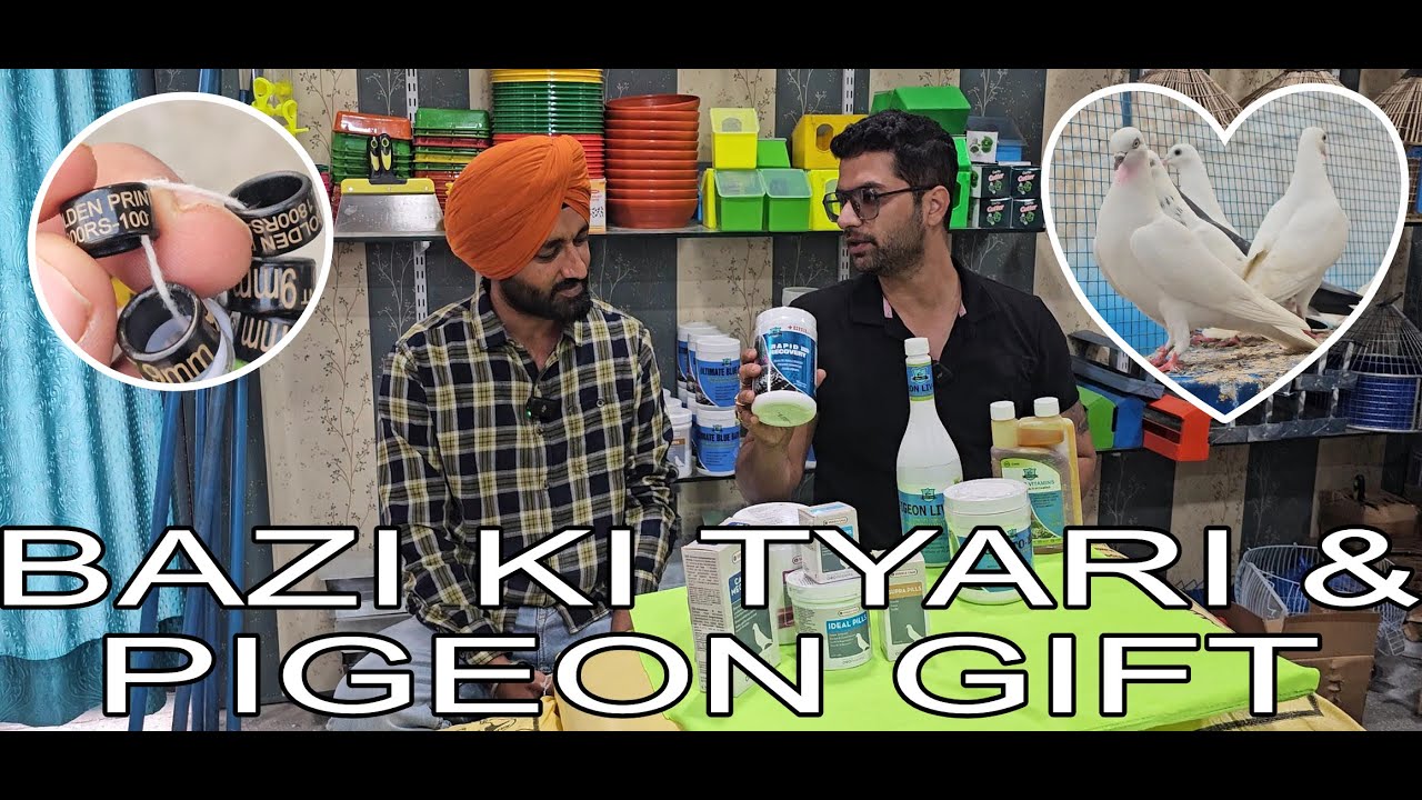 MANI JALMANA NE KEA PIGEON GIFT AND STORE TOUR