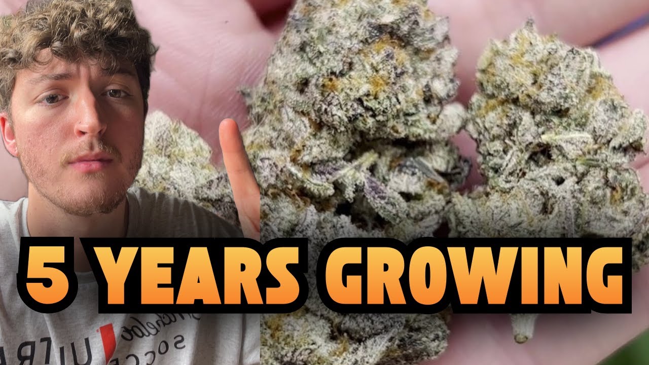 What I learned in 5 Years Growing Weed