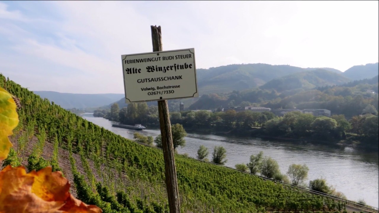 COCHEM - De Moezel wandelen op de Apolloweg vanaf Cochem-Cond