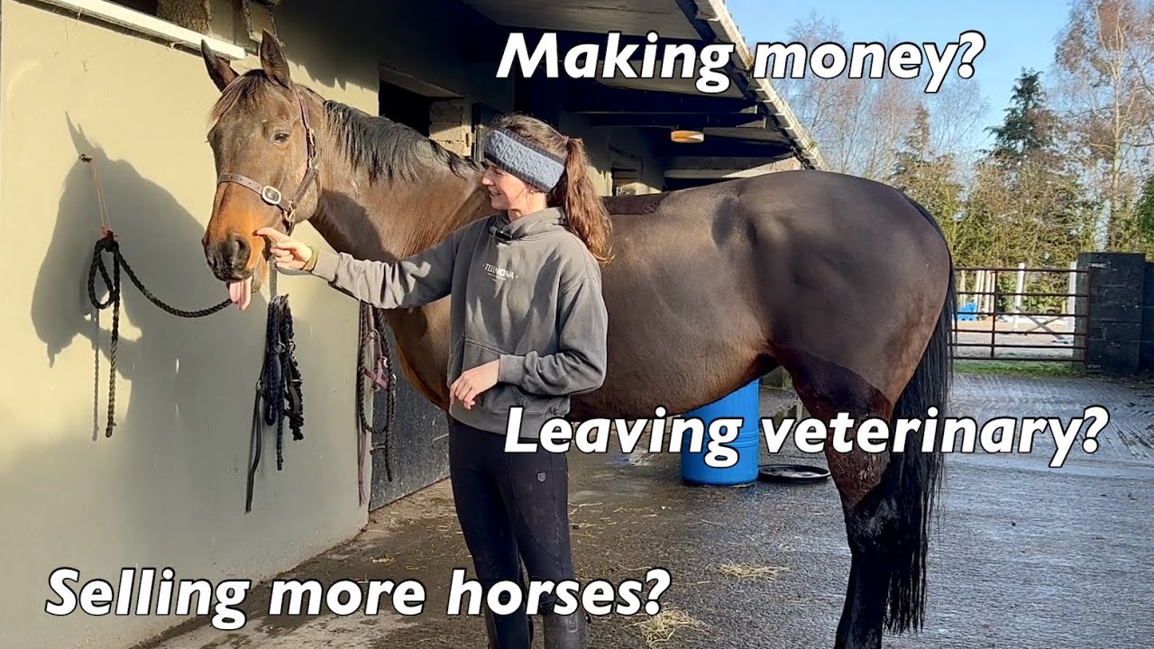 CHATTY TACK UP AND RIDE WITH ME