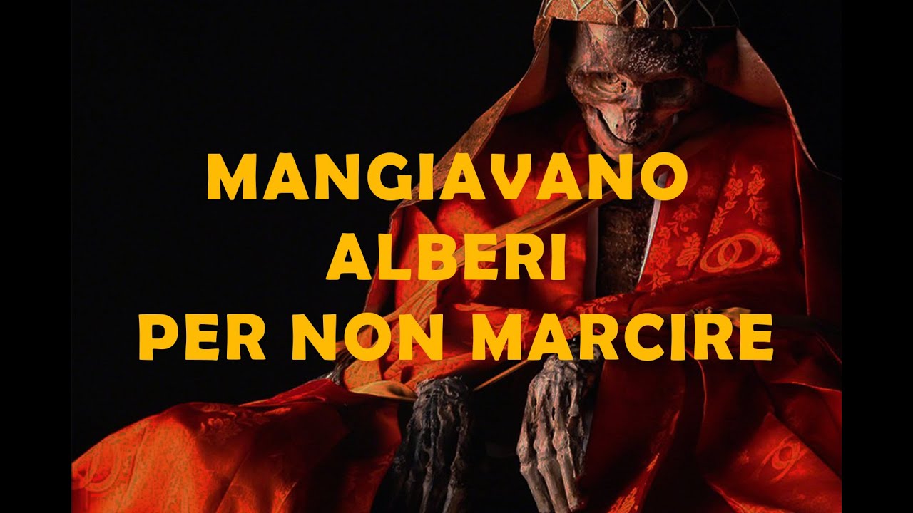 I monaci che MANGIAVANO ALBERI per non marcire: la verità sullo Sokushinbutsu