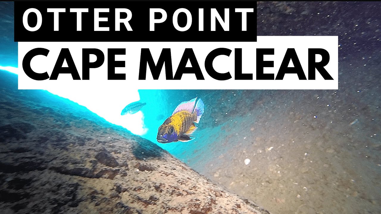 Cape Maclear, National park - Otter Point - The Lake Malawi Experience #5