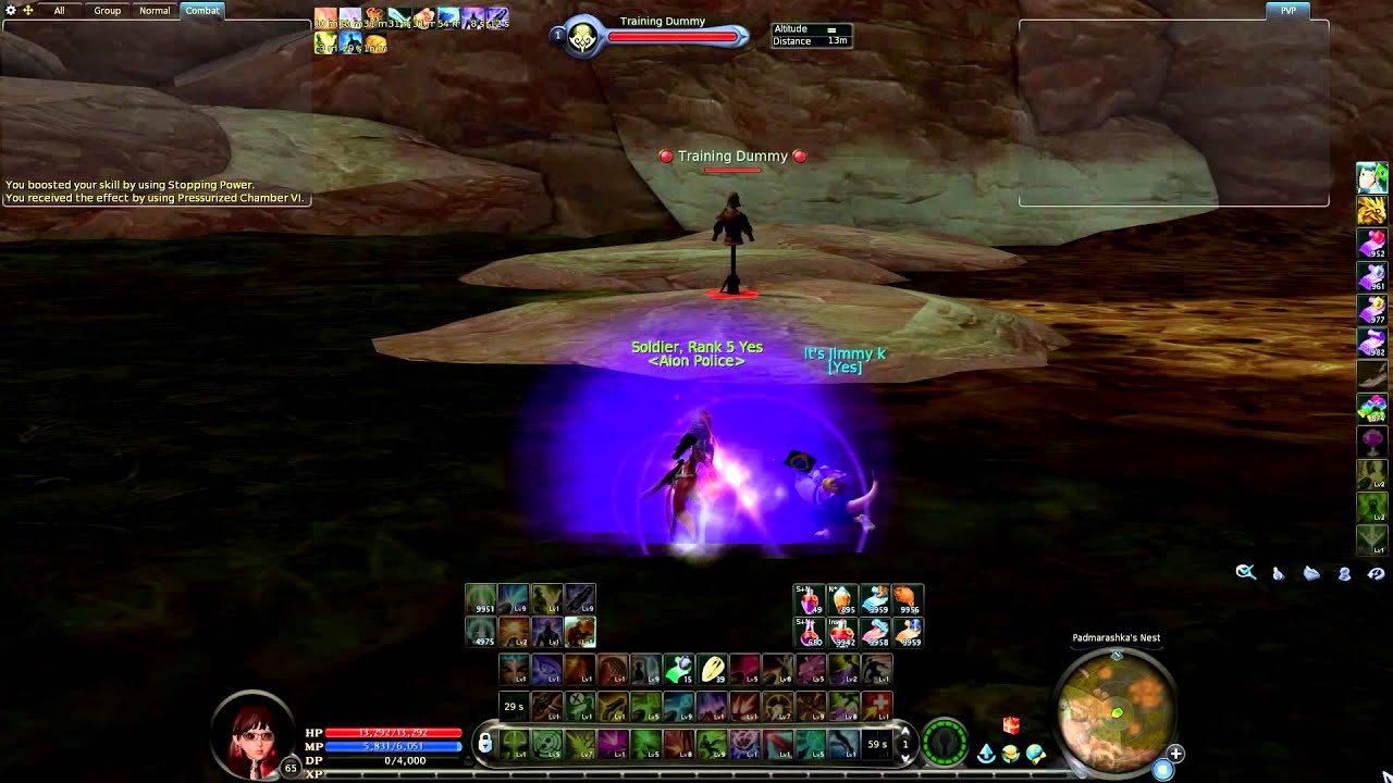 Aion 4.3 - Gunner Spam Macro