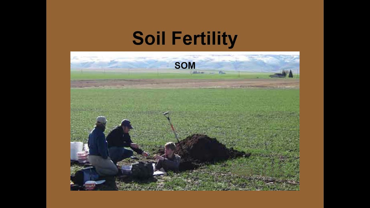 Soil Fertility 3. Soil Organic Matter
