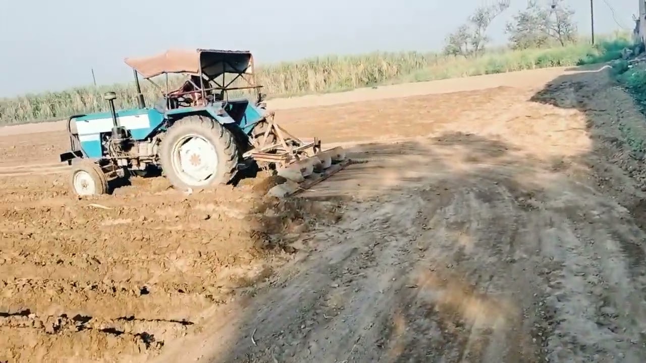 गन्ना बुआई में दवाई डाली और मेंडा लगाया