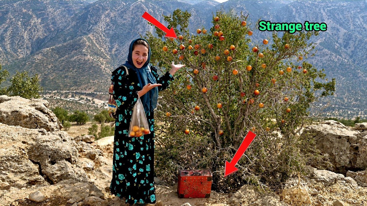 The runaway bride ran into the mountains to survive, but found a strange tree!