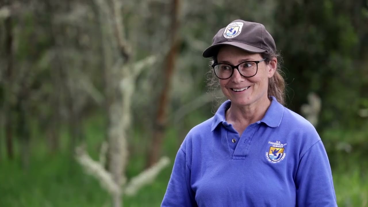 Helping Hawaii’s Endangered Songbirds Survive a Changing Climate