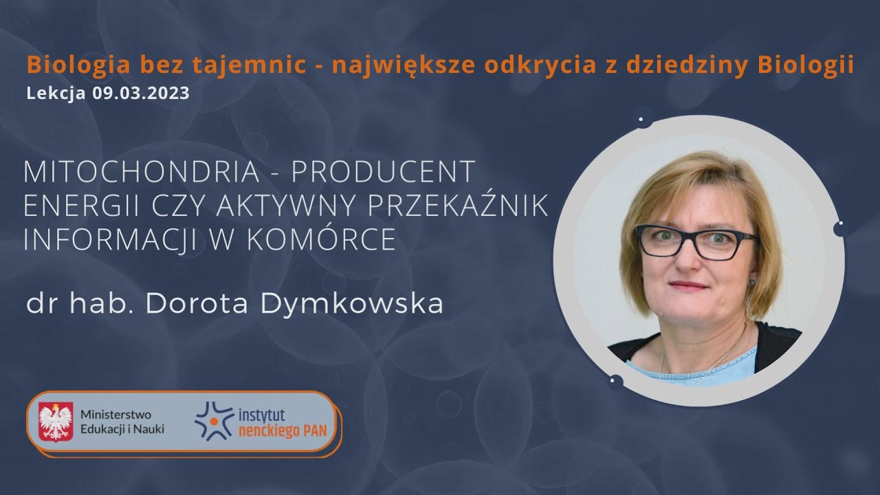Mitochondria - producent energii czy aktywny przekaźnik informacji w kom&oacute;rce