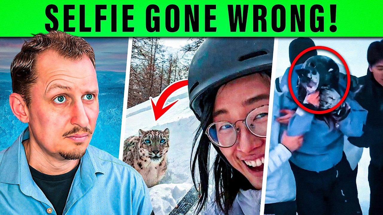 She Tried to Take a Selfie with a Snow Leopard&hellip; | Zoologist Reacts