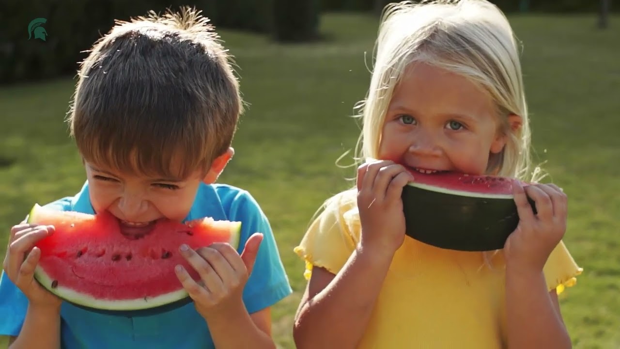 MSU Extension - Who We Are and What We Do