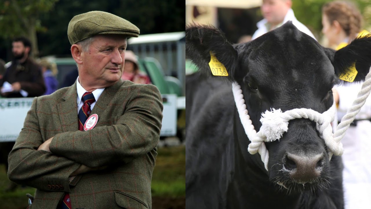 Irish Angus All Ireland Championships 2017
