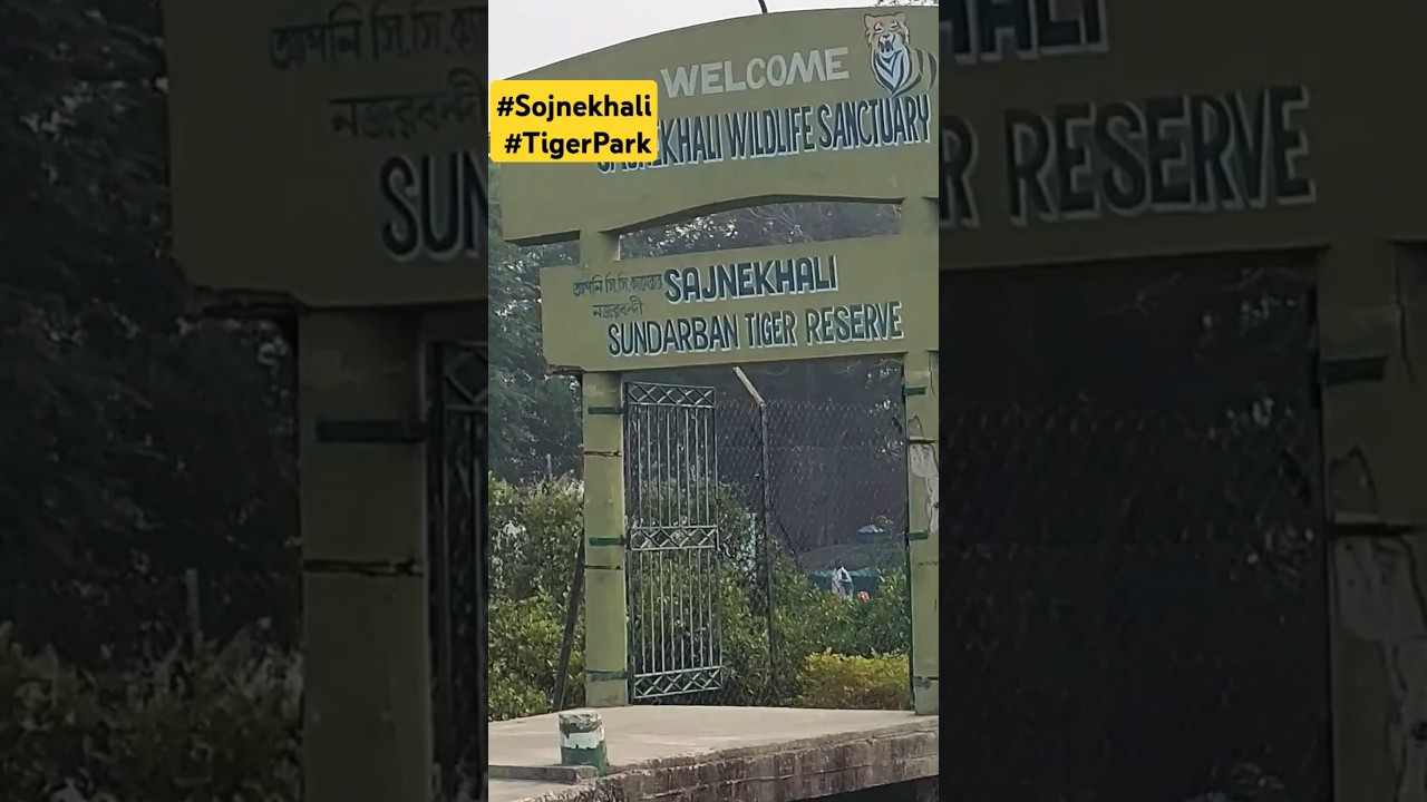 #sajnekhali #sajnekhaliwildlife #moushmimallik13 #sundarban