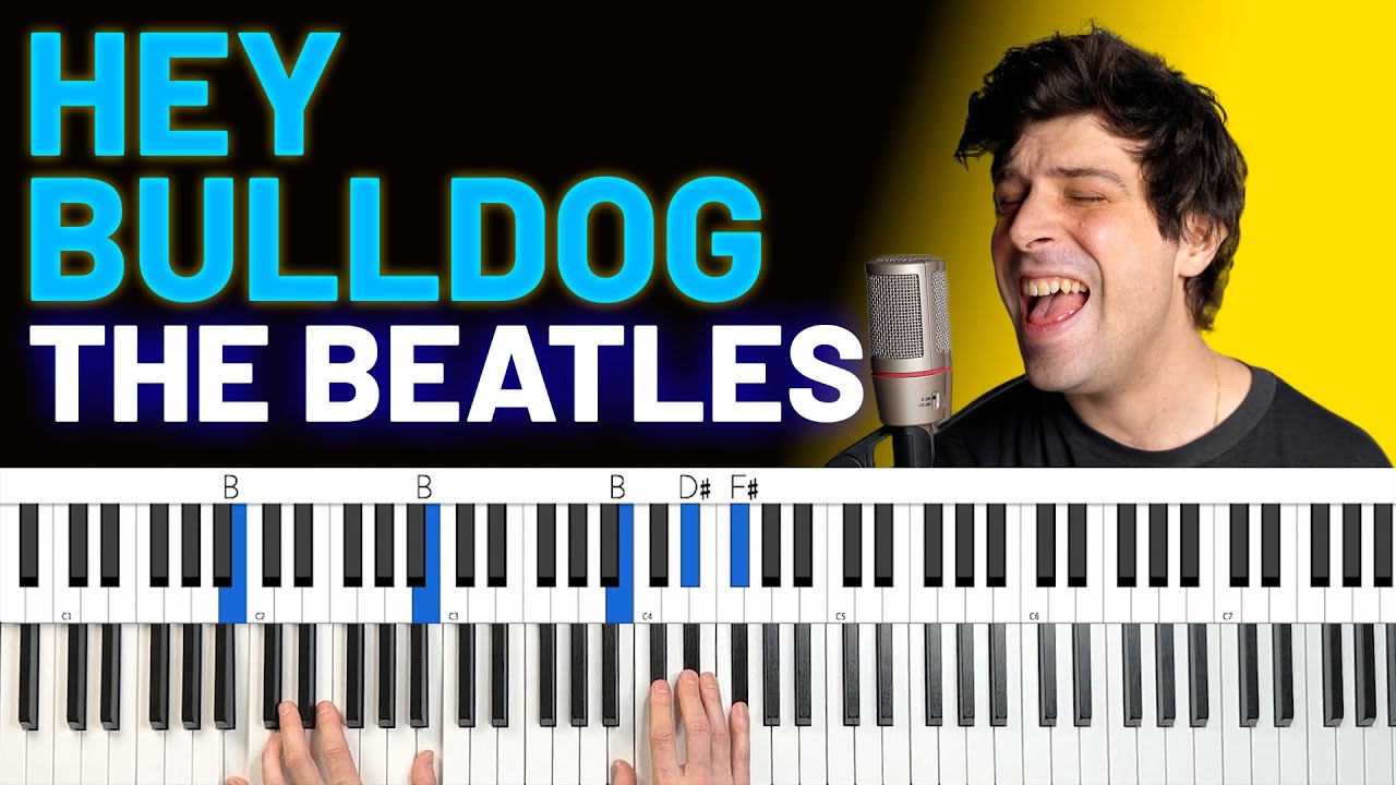 How To Play 