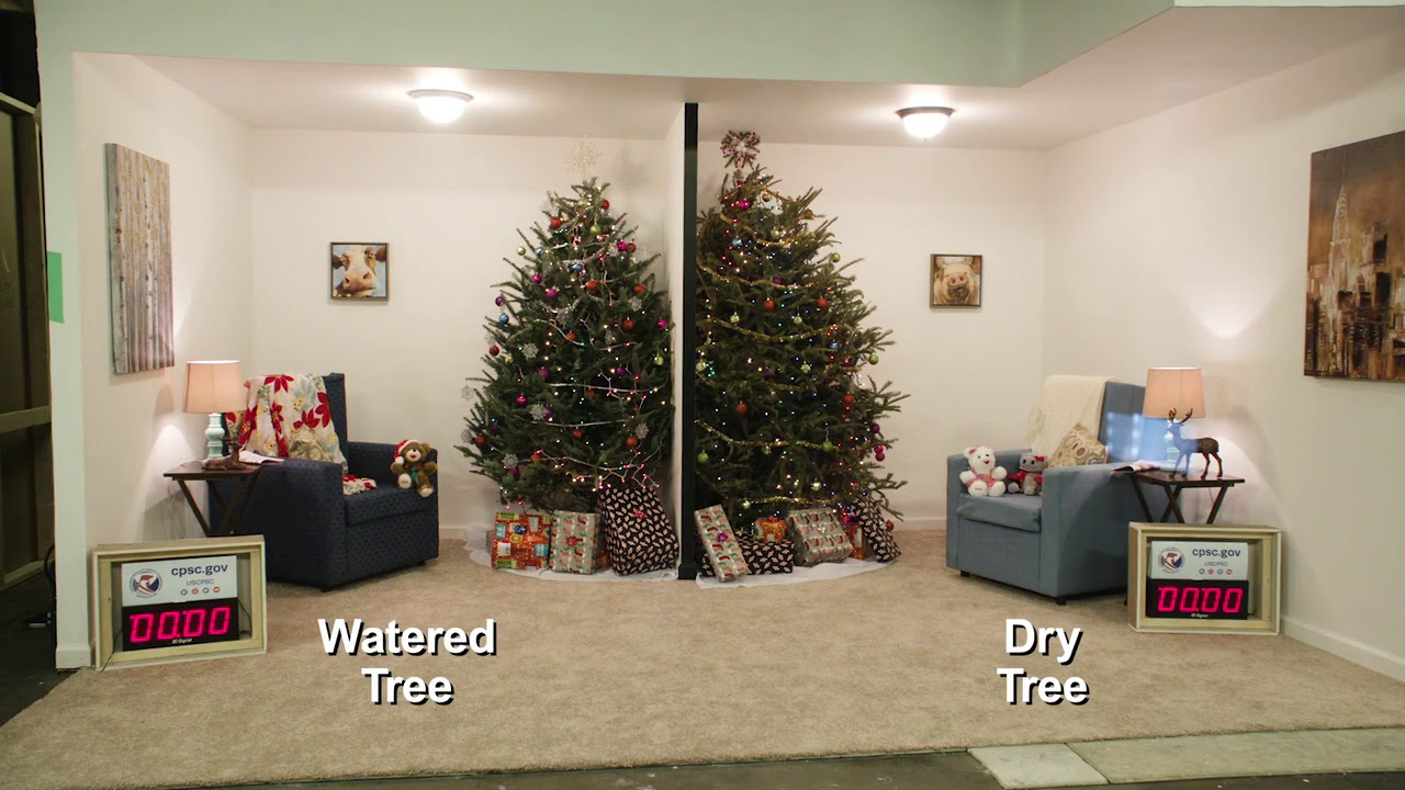 2018 CPSC Holiday Decorations Safety Press Conference