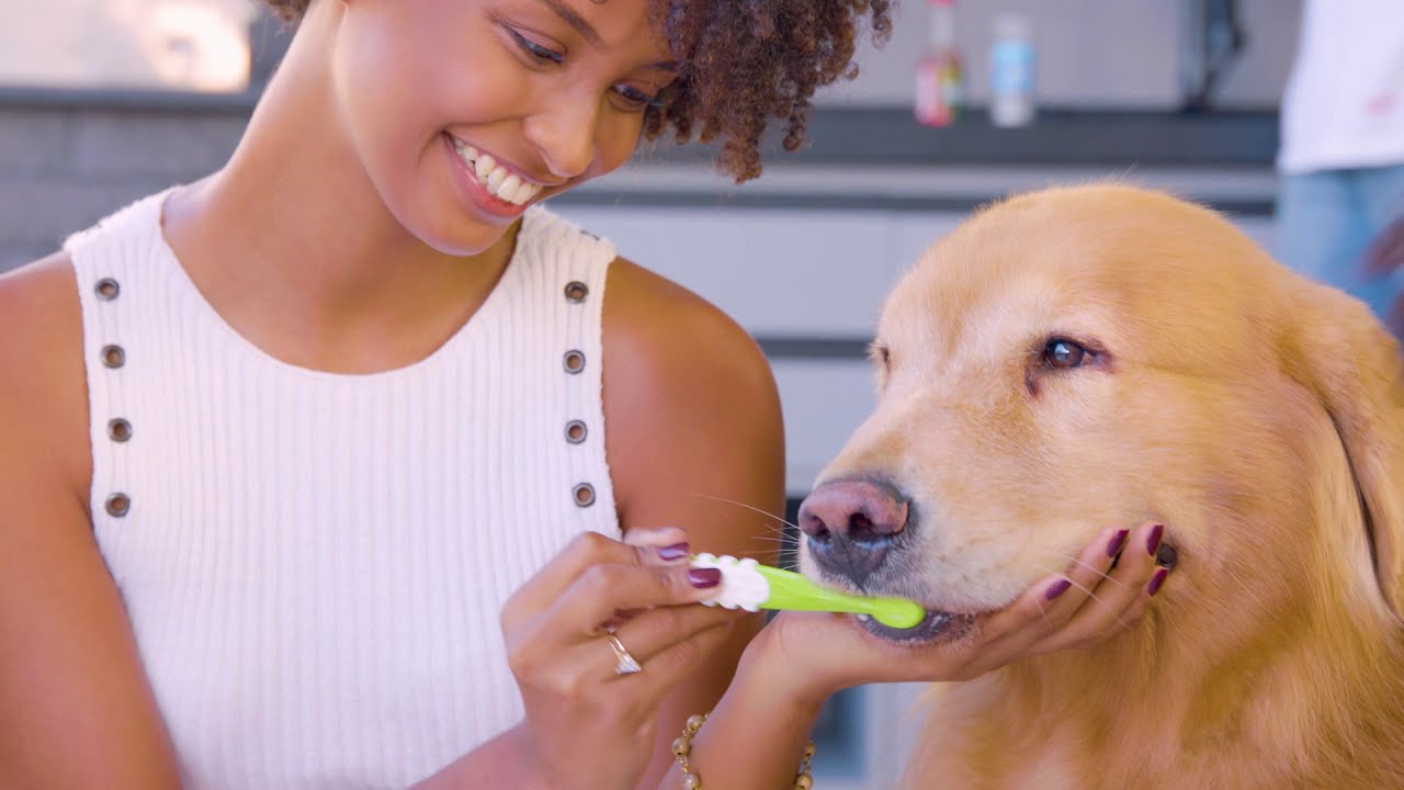 Pets Toothpaste & Toothbrush | USDA Organic Canine Toothpaste