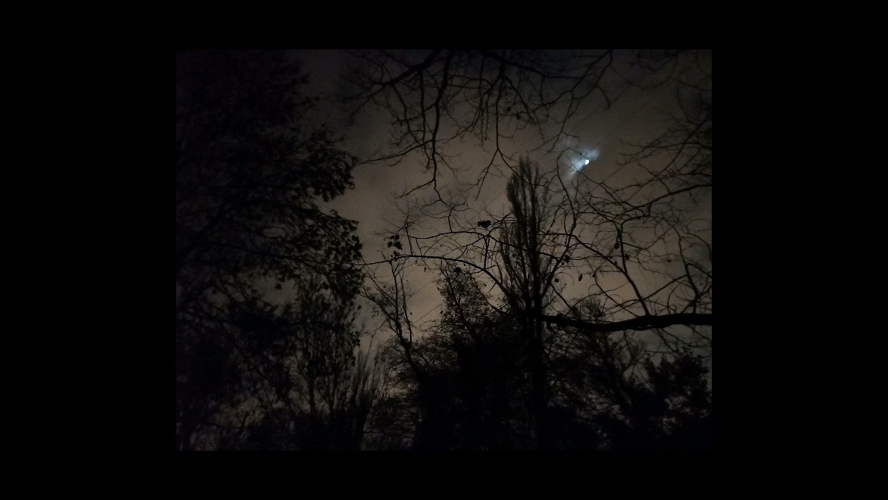 TAMINO - INDIGO NIGHT (special version) 1 HOUR LOOP