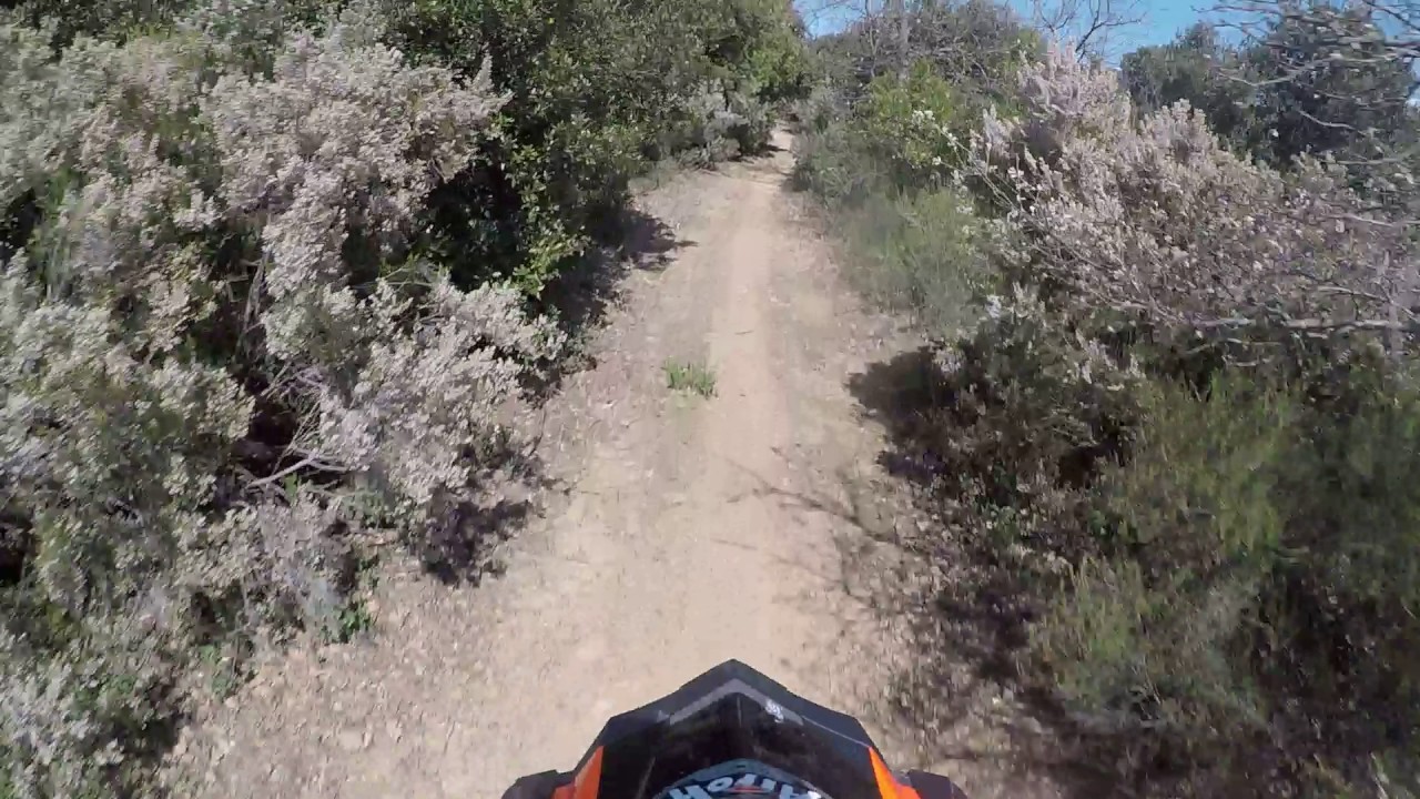 TROFEO ENDURO 2' PROVA RAPOLANO TERME (SI) Prova Speciale Enduro