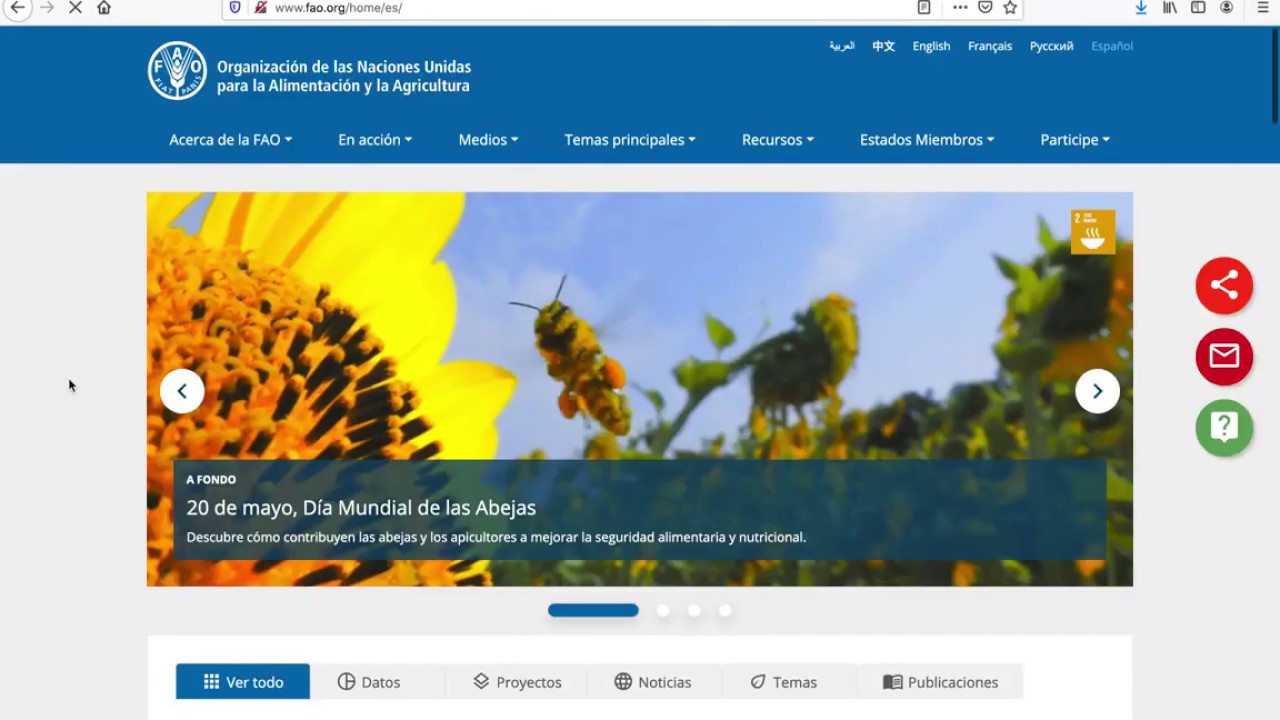 Consulta base de datos FAO