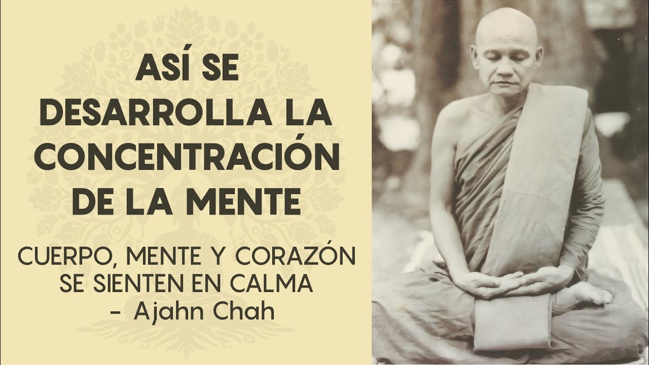 Desarrollando la Concentración de la Mente (Samadhi) - Ajahn Chah | Budismo Theravada