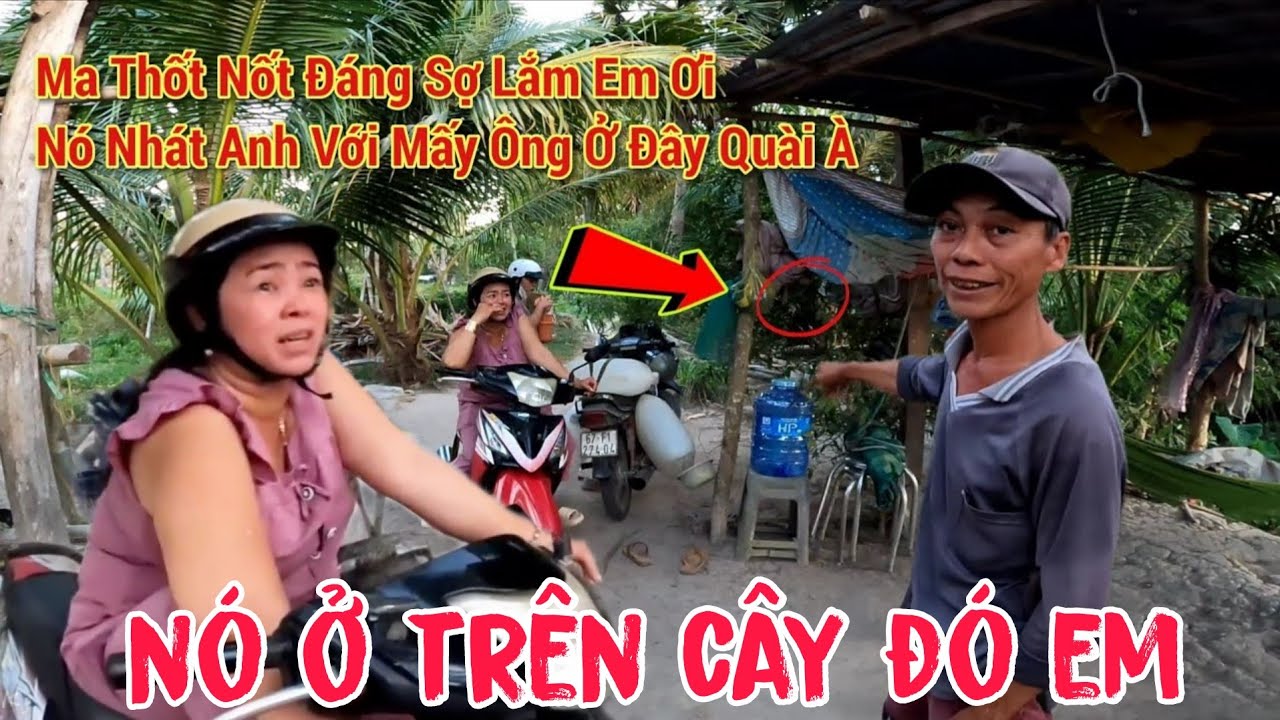 Phát hiện chàng ca sĩ trong vườn Thốt Nốt - chuyện M.a leo cây giữa đêm rợn người