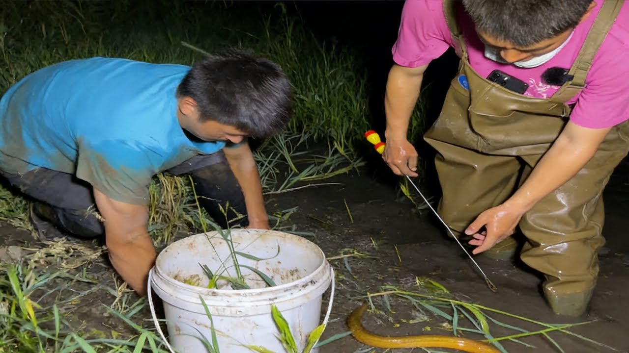 照這樣計算今天一點壓力也沒有，幹就完了#大熱門#fishing
