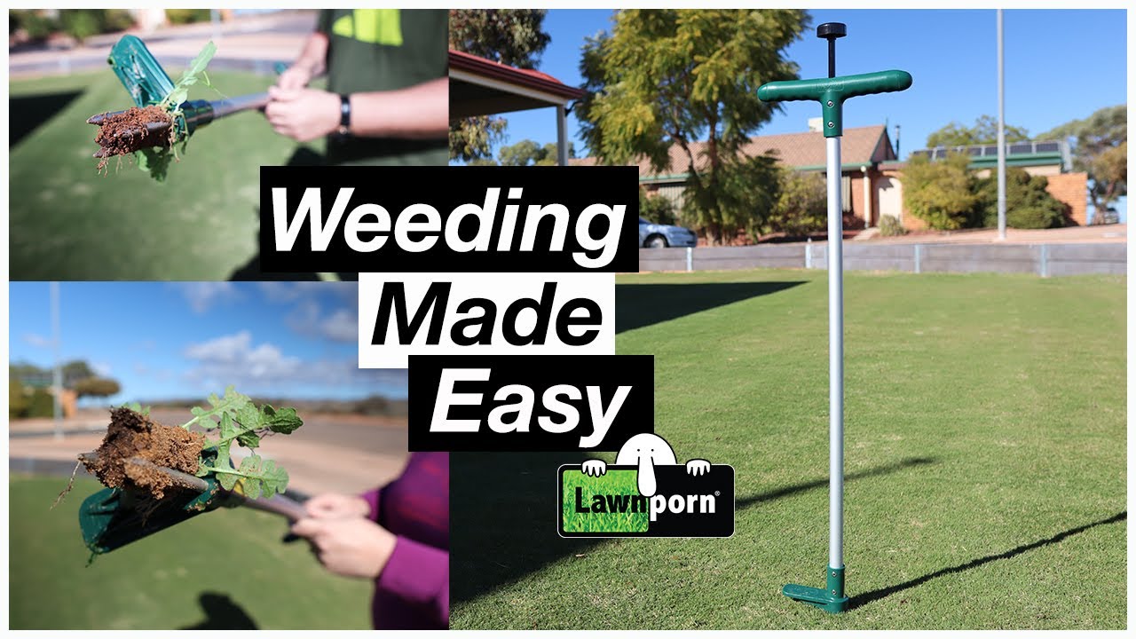 Walensee Weeder Review