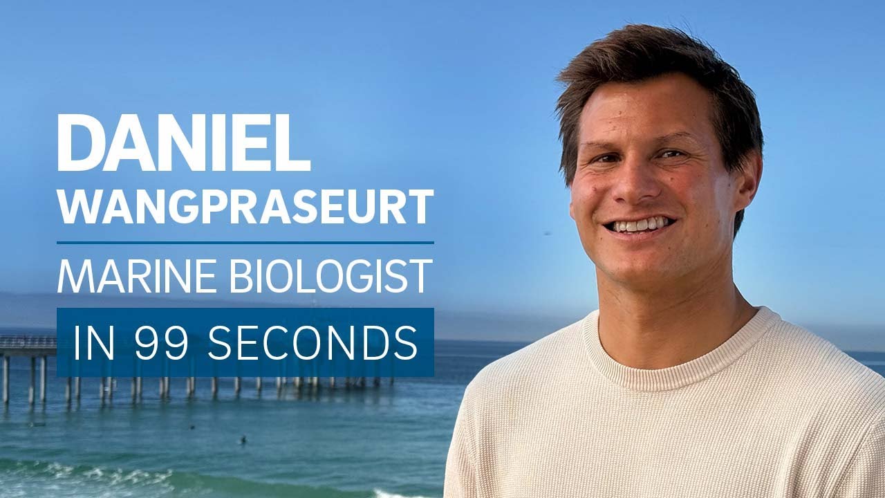 A Scientist’s Life: Marine biologist Daniel Wangpraseurt