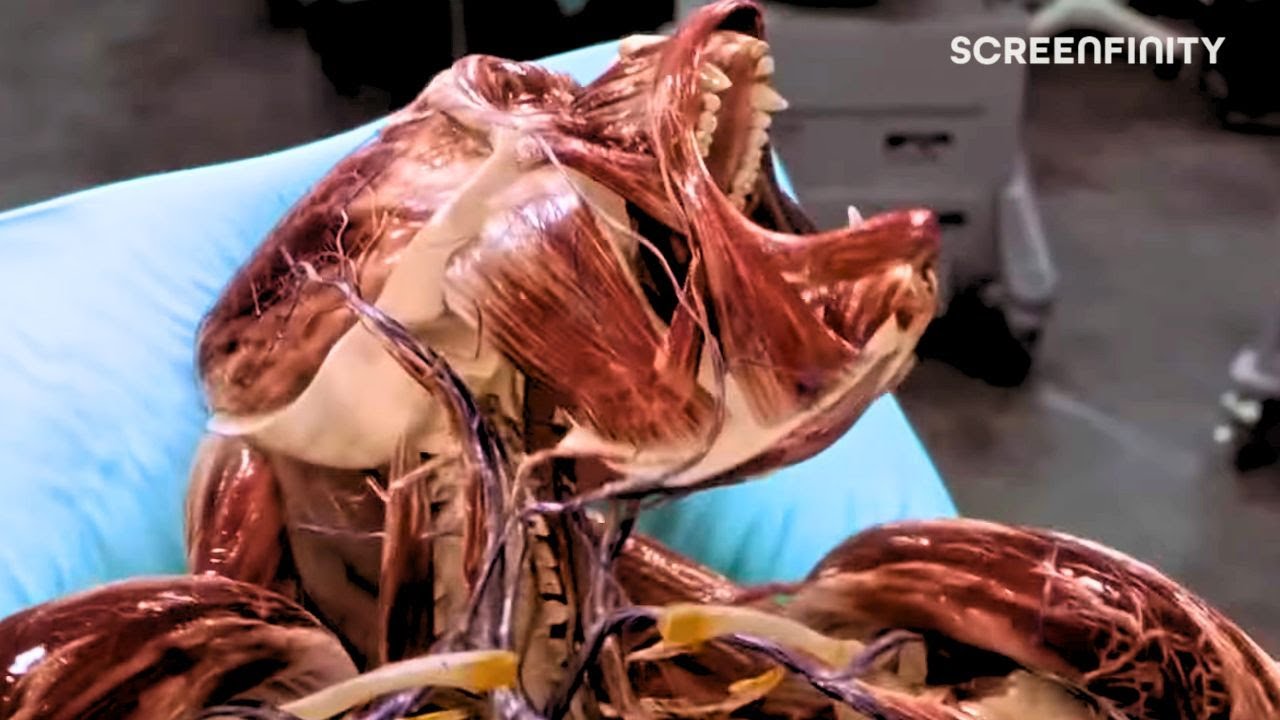 The Gorilla Experiment | Hollow Man (2000) | Screenfinity