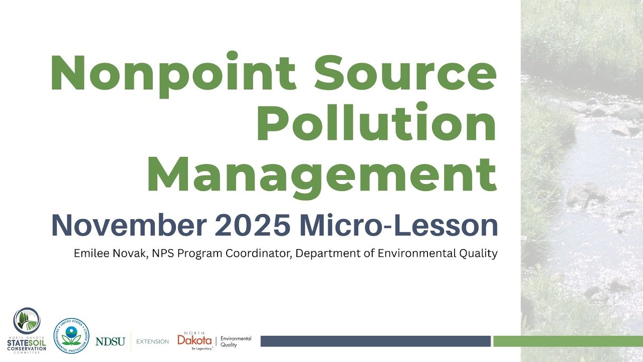 Управление неточечными источниками загрязнения