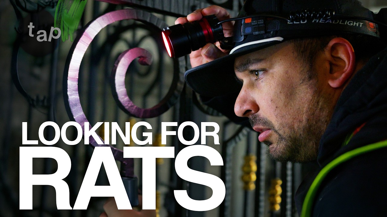 NYC Rats: Meet The People Obsessed With Them | Documentary