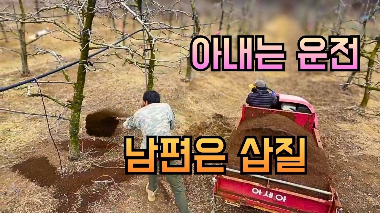 생일인데 미역국도 못 먹고... 첼리맘과 함께한 눈물의(?) 거름 작업