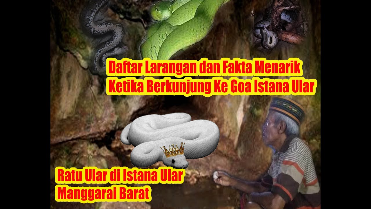 Daftar Larangan & Fakta Unik di Goa Istana Ular-Manggarai Barat #UlarPutihRaksasa #LegendaIstanaUlar