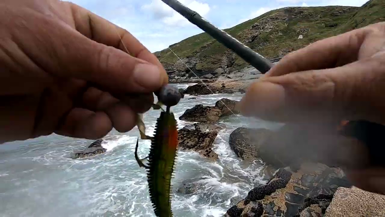Catch and Cook - North Cornwall's Bass off the rocks